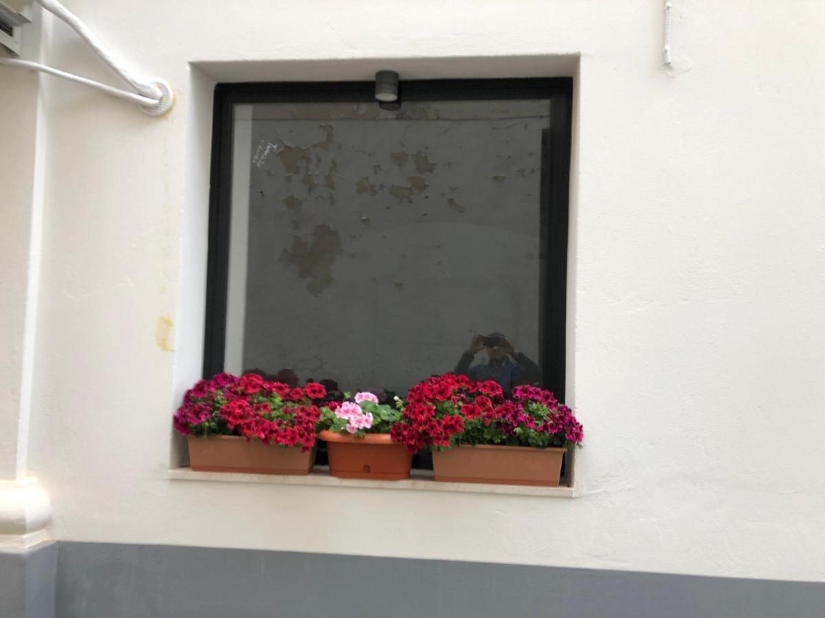 Via Mercato 20 Apartment *